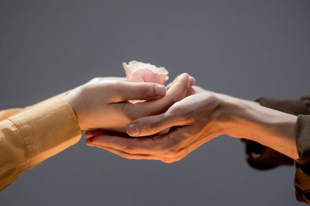 Imagem mostra duas mãos juntas, oferecendo uma rosa para outra pessoa. A outra pessoa também está com as mãos estendidas, juntas, segurando a rosa