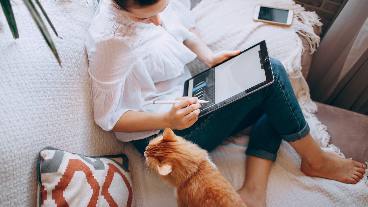 Mulher trabalha no sofá de casa com um tablet e um gato laranja ao lado