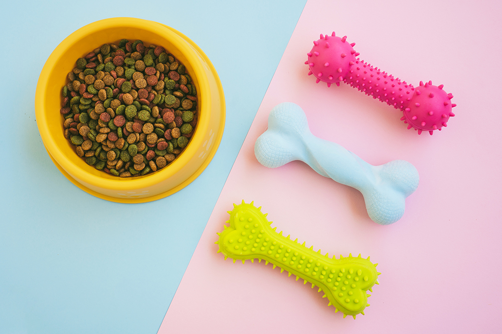 Royal Canin oferece licença para quem adota um pet