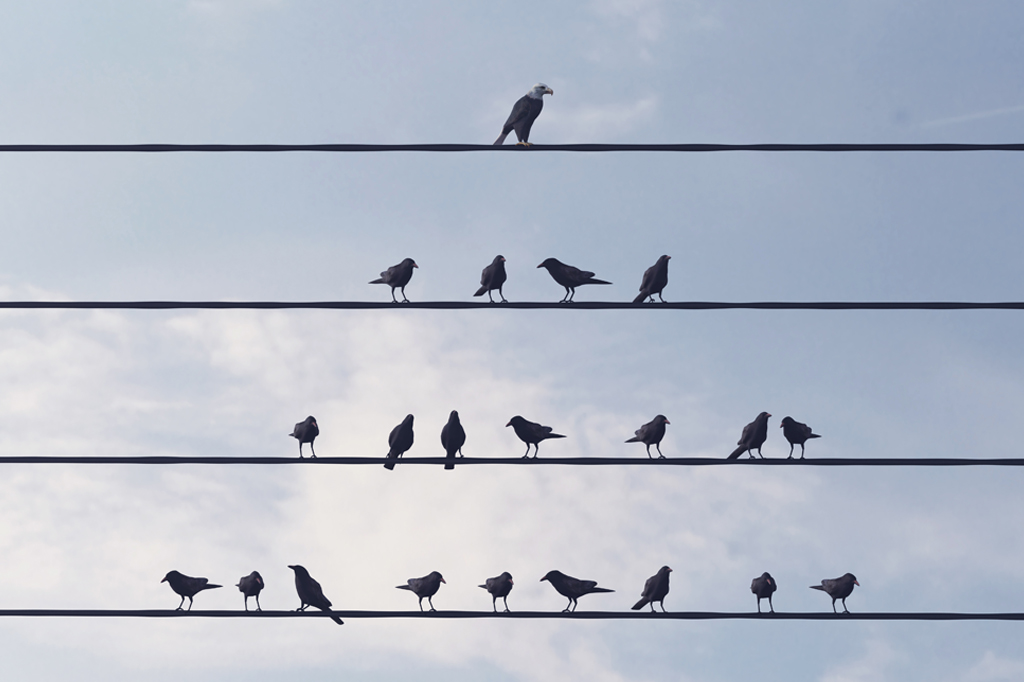 Isolamento no C-level: um perigo para chefes e organizações