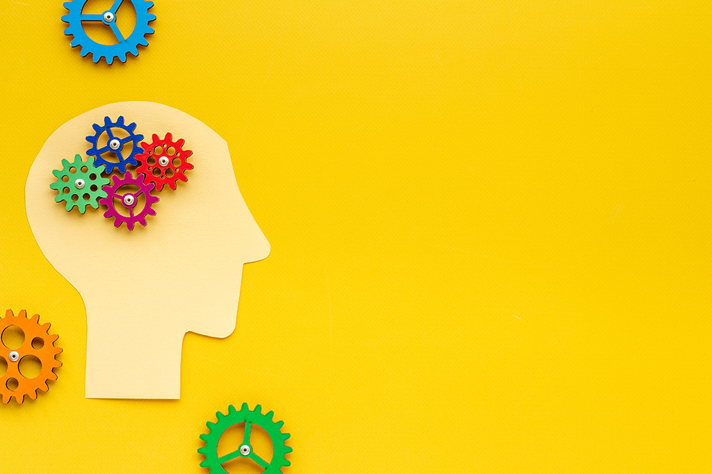 Como funciona e para que serve o teste Hogan de personalidade